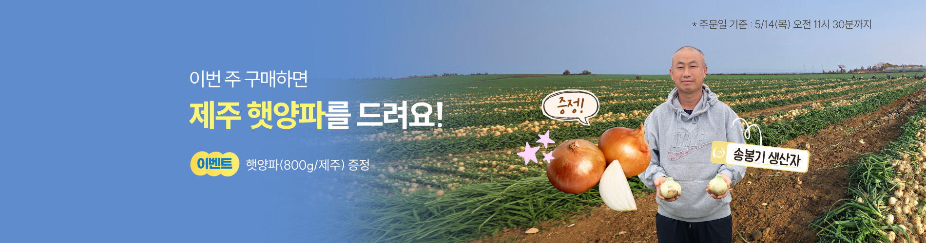 제주 햇양파 증정