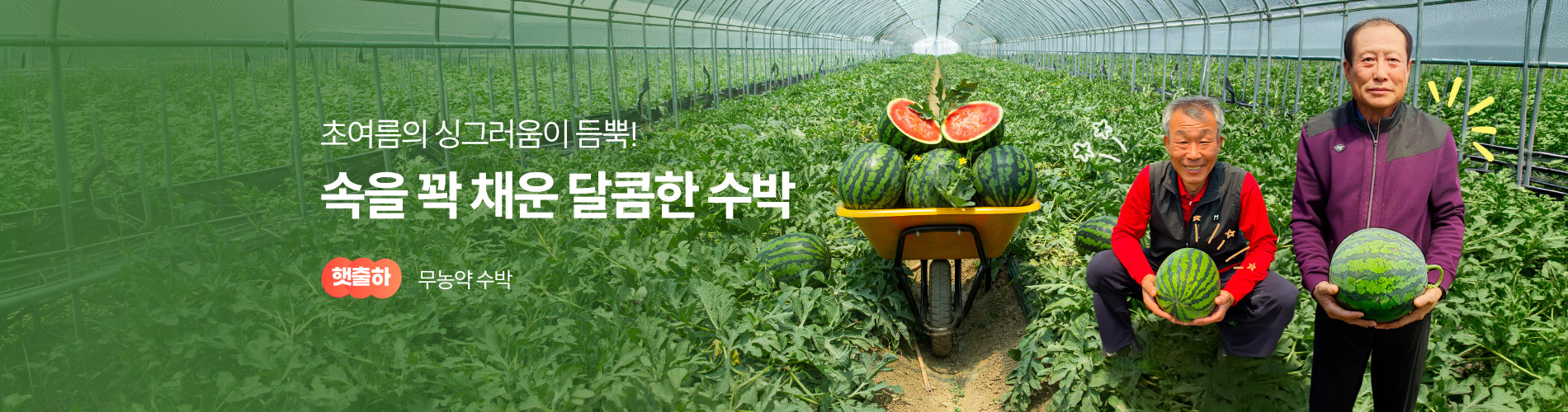 햇수박