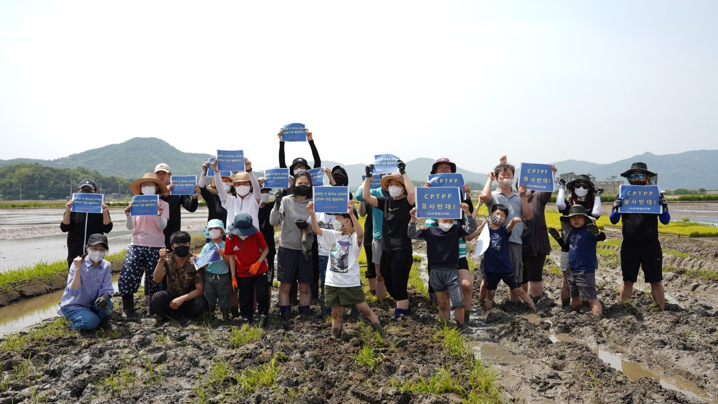 조합원과 생산자가 함께 모내기 체험을 하며 다음 세대의 먹거리를 잇는 모습