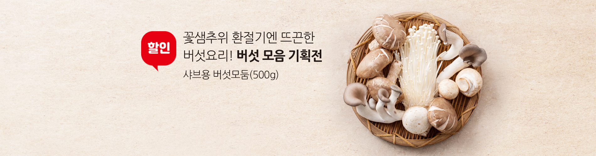 버섯모음