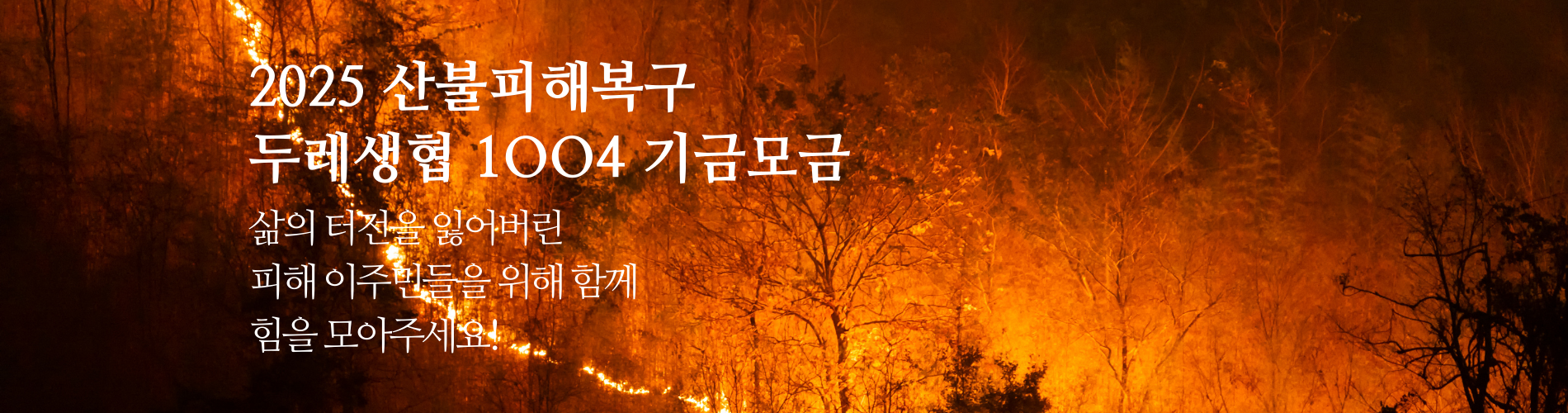 산불기금
