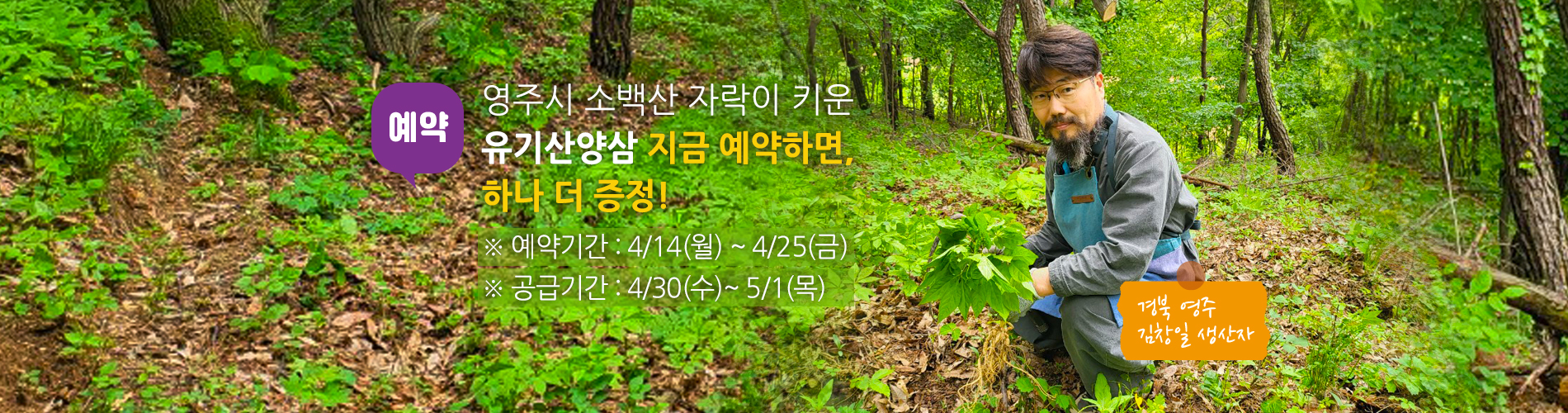 잎삼