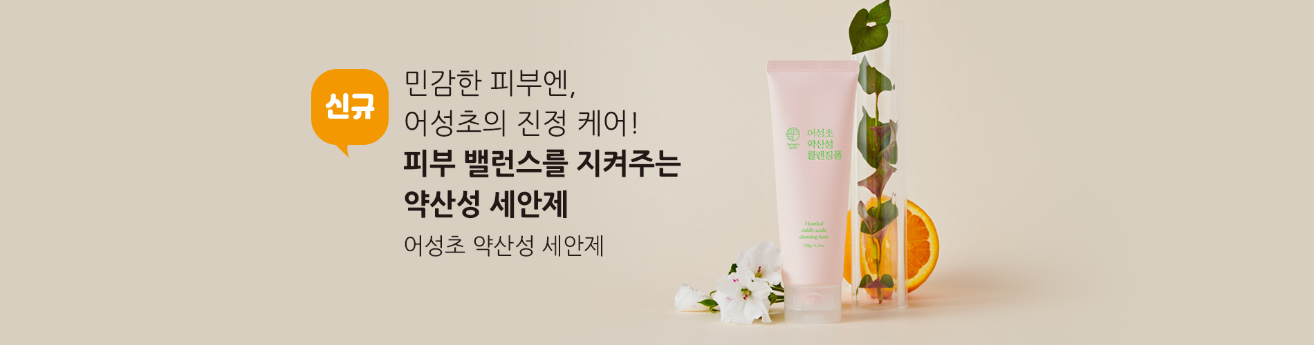 어성초