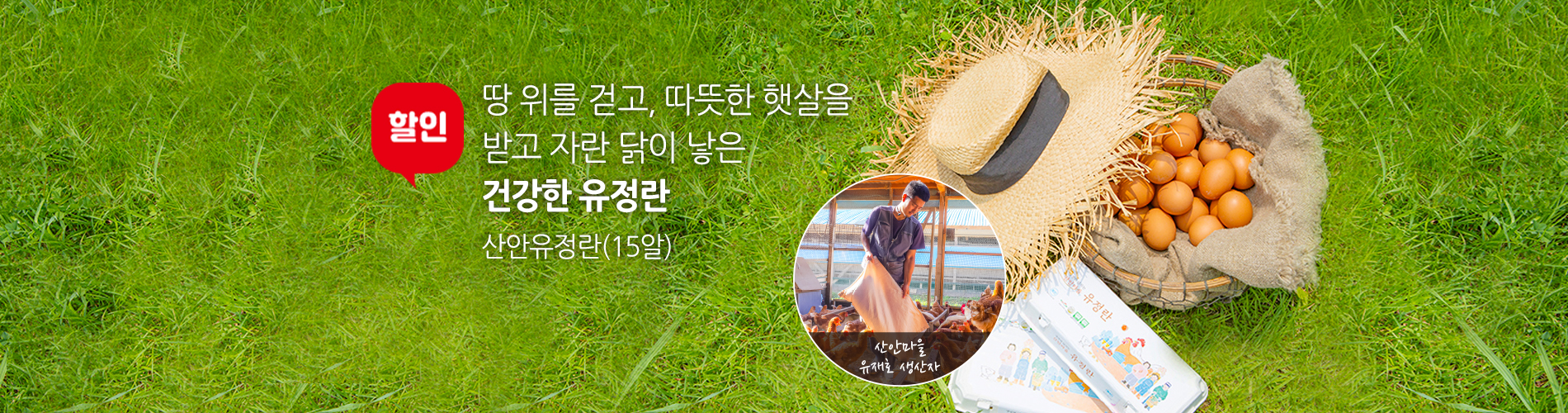 유정란