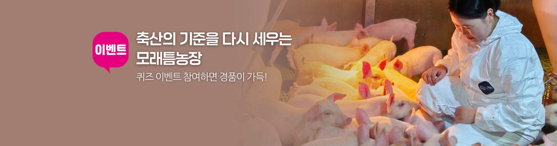 모래틈농장 이벤트