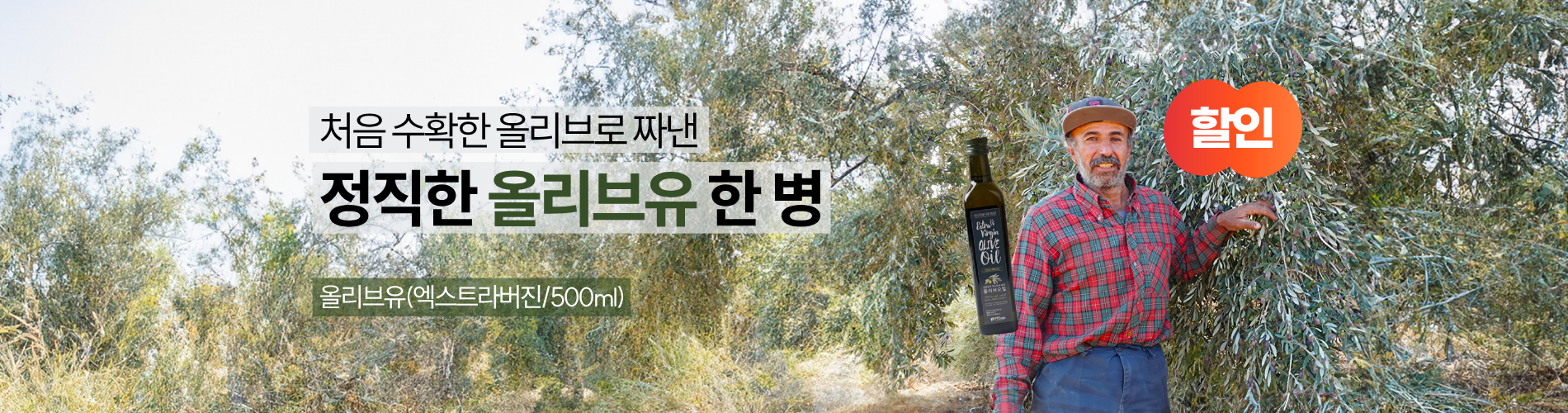 올리브
