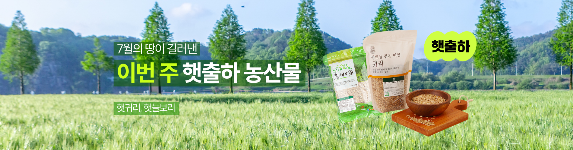 7월의 햇출하 농산물