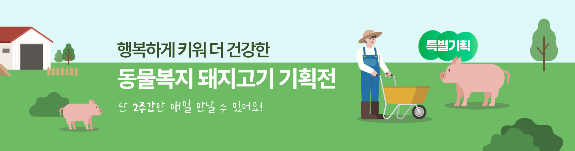 동물복지 돼지고기 기획전