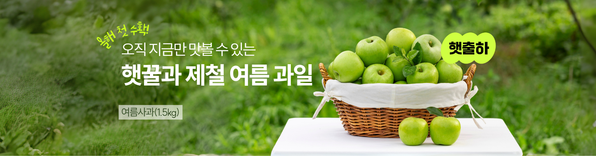 햇꿀과 제철 여름 과일