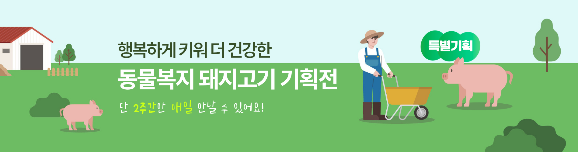 동물복지 돼지고기 기획전