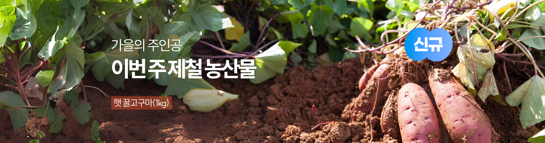 이번 주 제철 농산물