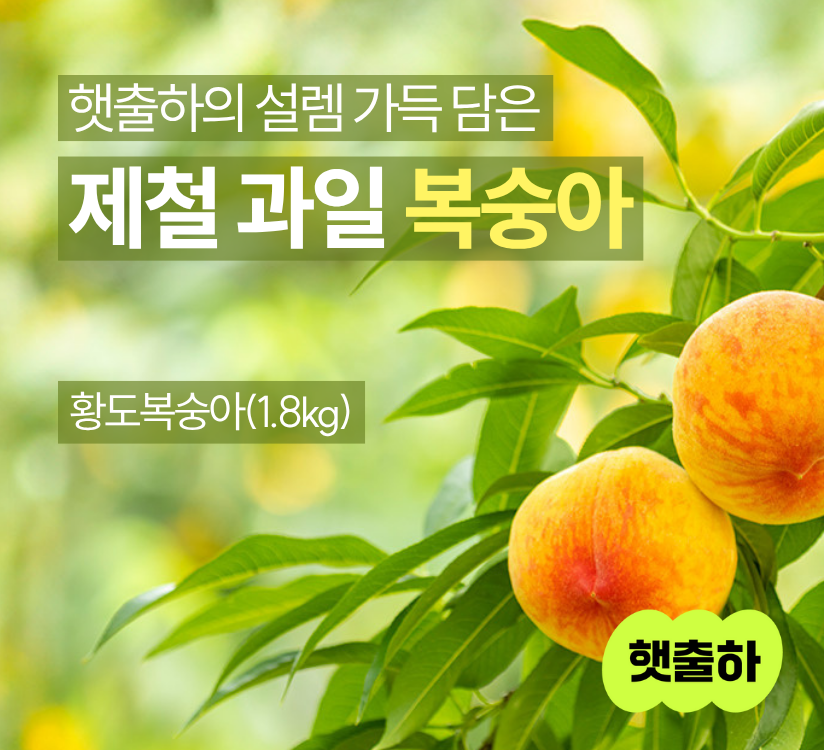 타이틀이미지