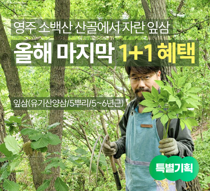 타이틀이미지