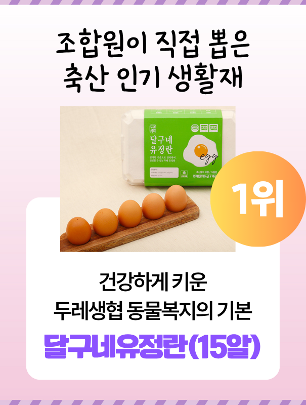 타이틀이미지