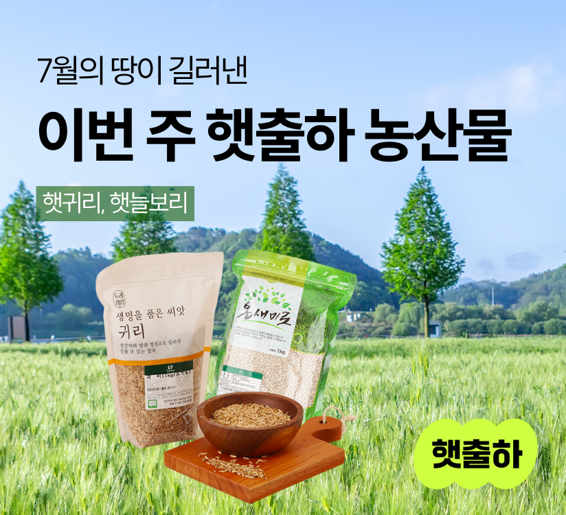 타이틀이미지