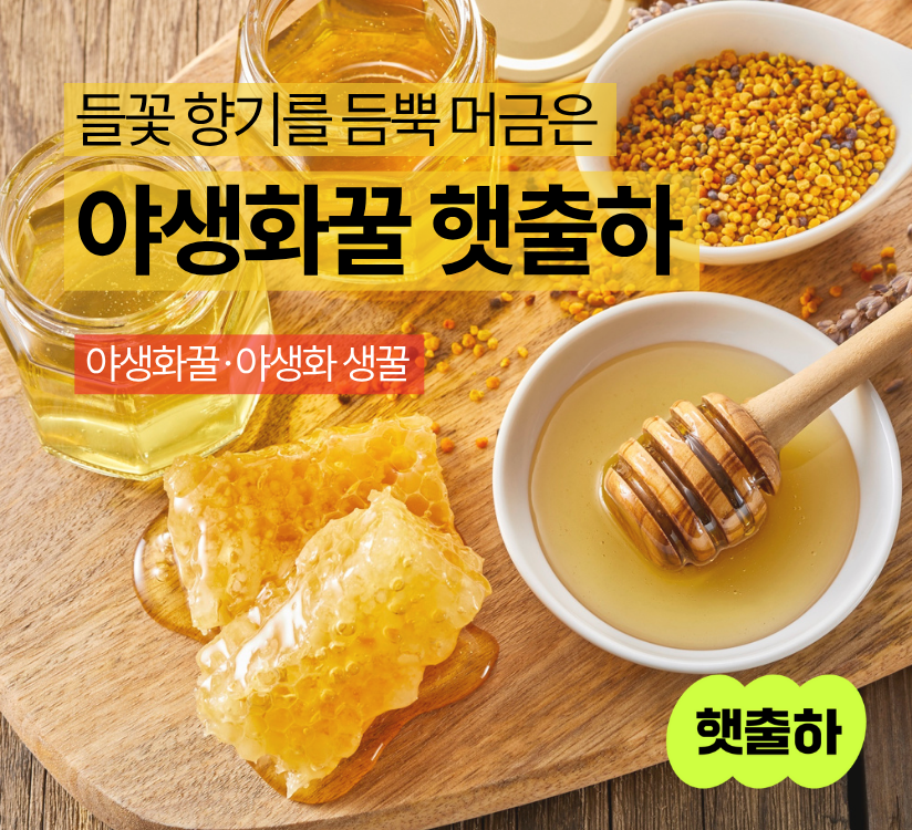 타이틀이미지