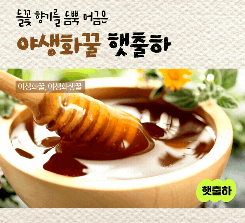 타이틀이미지