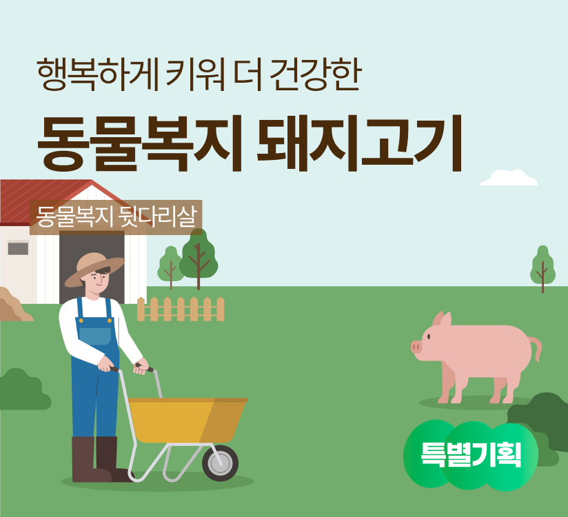 타이틀이미지