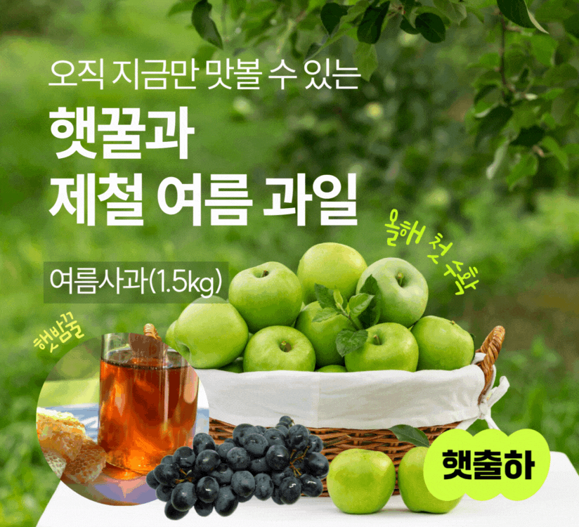 타이틀이미지