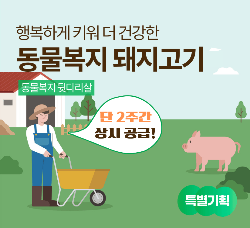 타이틀이미지